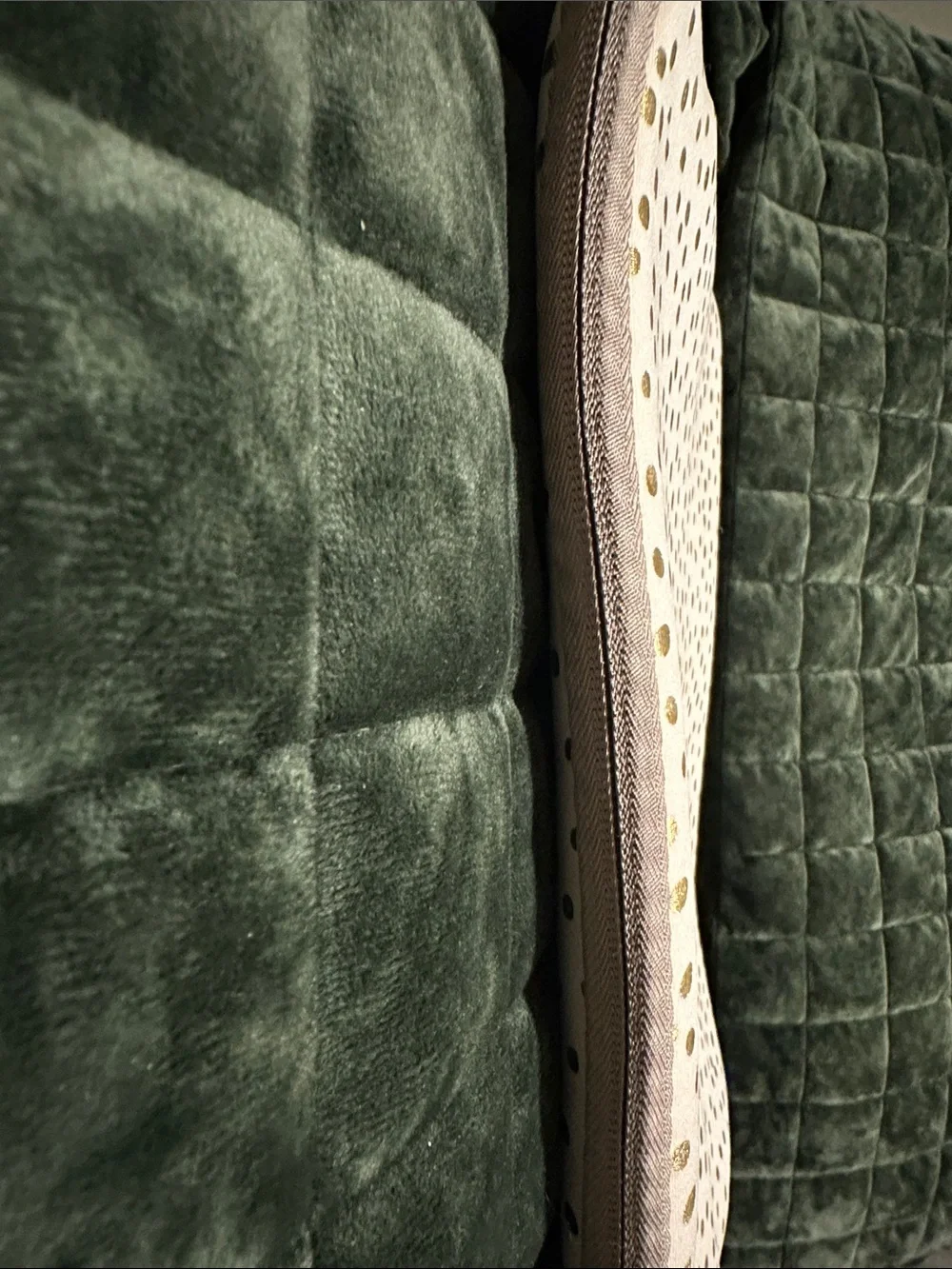 Dabney Lee padded sleeve
